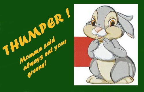 thumper2_1_.jpg (28129 bytes)