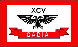 Battle flag of the 95th Cadian Rifles Regiment, Imperial Guard